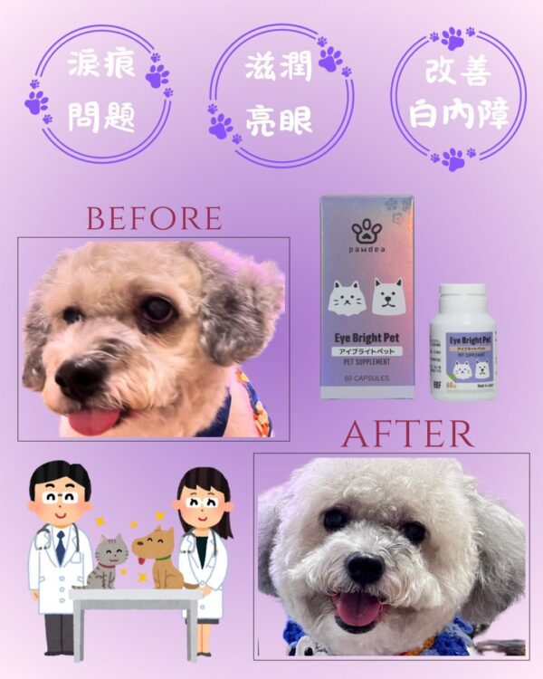 日本品牌 - PAWDEA - Eye Bright Pet 亮睛睛 保健品 雞肉味 60粒 EYE BRIGHT PET 60 CAPSULES：圖片 4