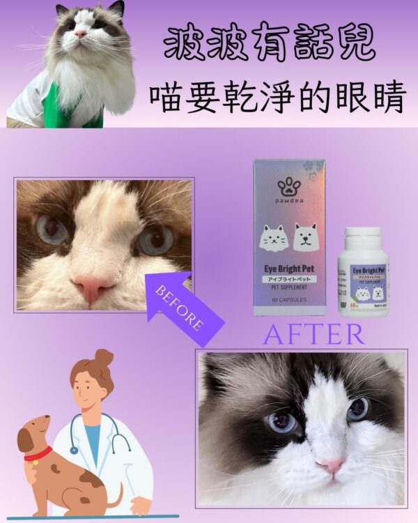 日本品牌 - PAWDEA - Eye Bright Pet 亮睛睛 保健品 雞肉味 60粒 EYE BRIGHT PET 60 CAPSULES：圖片 5