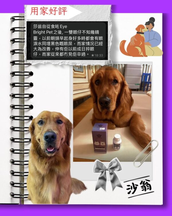 日本品牌 - PAWDEA - Eye Bright Pet 亮睛睛 保健品 雞肉味 60粒 EYE BRIGHT PET 60 CAPSULES：圖片 6