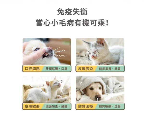 汪喵星球 - 免疫力提升保養粉：圖片 2