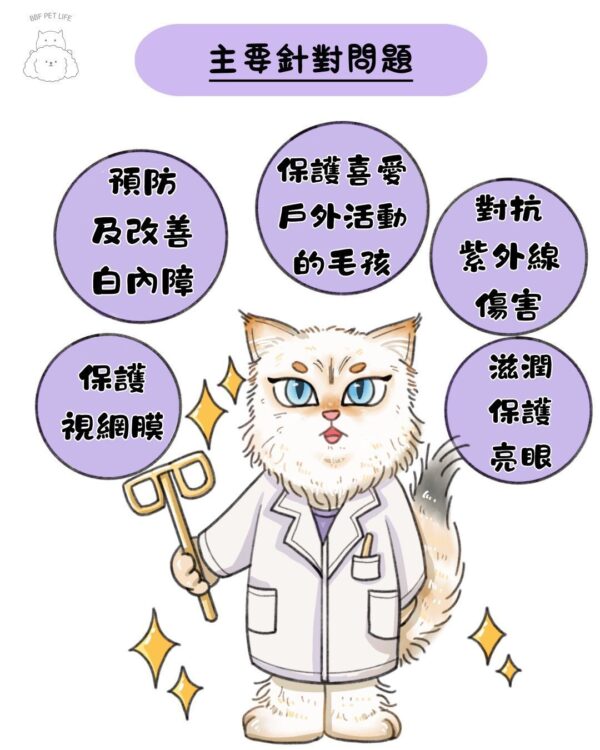 日本品牌 - PAWDEA - Eye Bright Pet 亮睛睛 保健品 雞肉味 60粒 EYE BRIGHT PET 60 CAPSULES：圖片 2