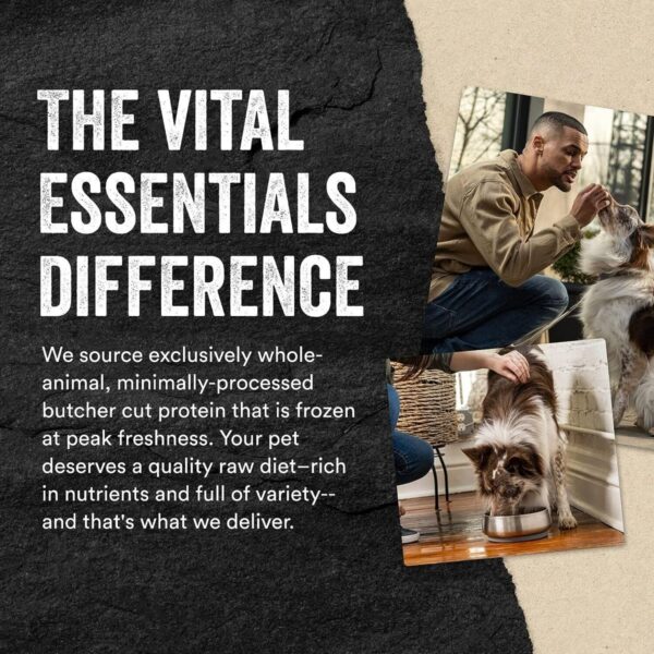 Vital Essentials - 凍乾迷你肉粒狗糧 - 牛肉迷你粒：圖片 4