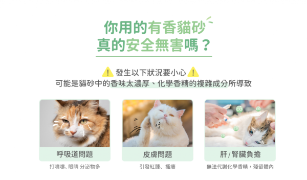 汪喵星球 - 益生菌消臭花草豆腐砂 (條型)：圖片 3